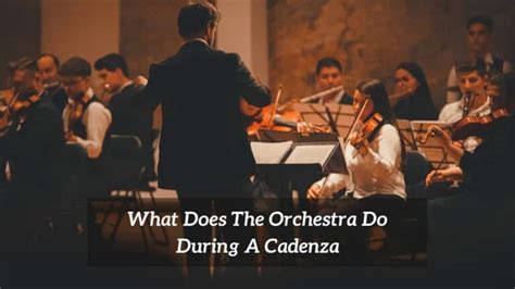 what is a cadenza in music and how does it reflect the composer's vision